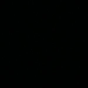 Custom listing - Pingu wallet